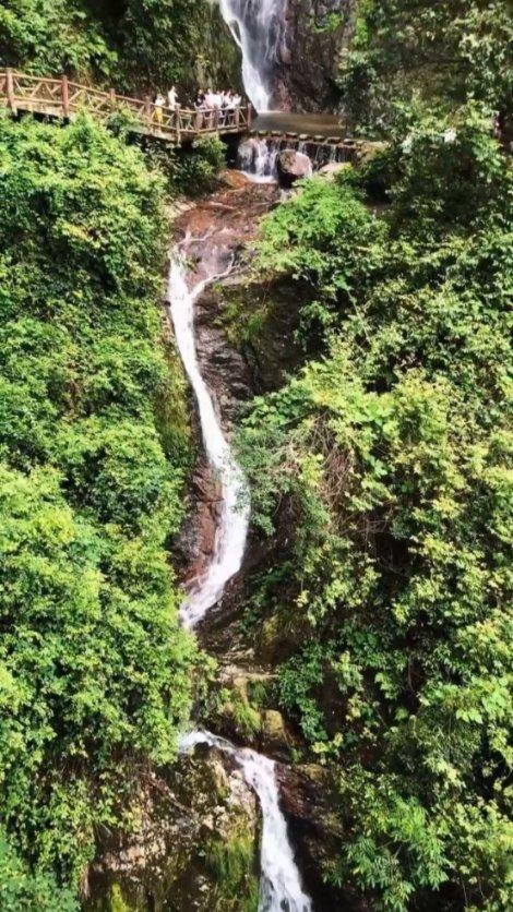 小猫钓鱼开船版最新版下载